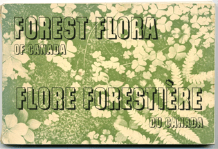 forest-flora.jpg