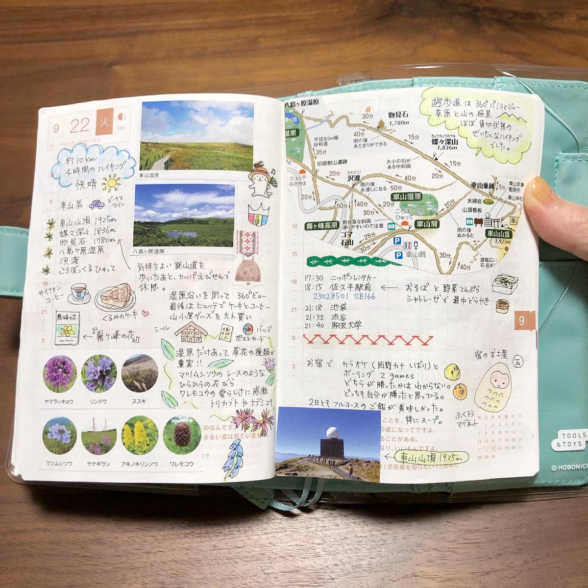 an image without description