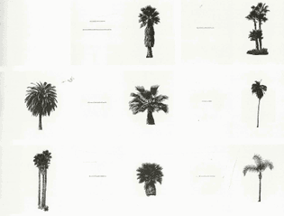 ed-ruscha-a-few-palm-trees-1971.jpg
