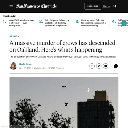 Massive murder of crows has gathered in Oakland. Here's why