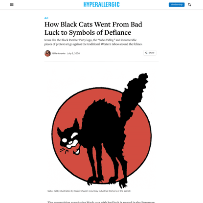 How Black Cats Went From Bad Luck to Symbols of Defiance