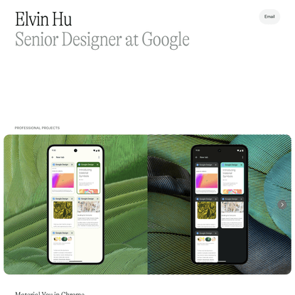 Elvin Hu / Senior Designer
