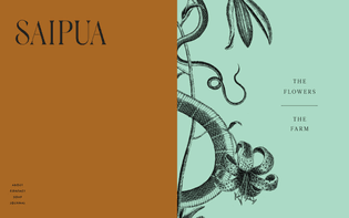 ensemble_01_saipua_13.jpg