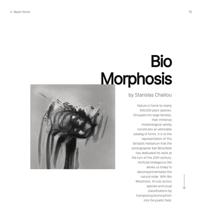 Bio Morphosis