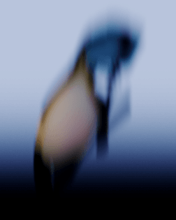 016.png