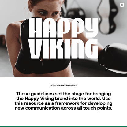 Happy Viking Brand Guide