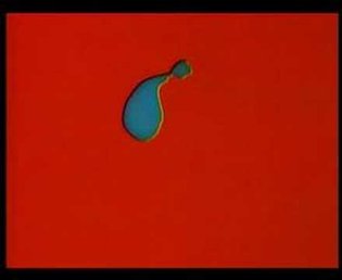 Norman McLaren - Dots (1940)