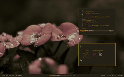 [bspwm] swamp. : r/unixporn