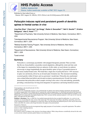 Psilocybin induces rapid and persistent growth of dendritic spines in frontal cortex in vivo