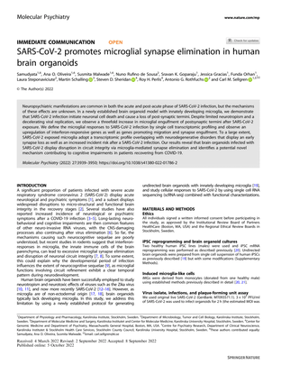SARS-CoV-2 promotes microglial synapse elimination in human brain organoids