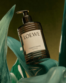 loewe_perfumes