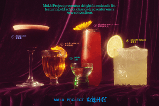 jf_malaproject_cocktailcomposition.jpg