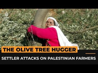 The tree hugger: Settler attacks on Palestinian farmers and their olive trees | Al Jazeera World