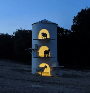 the_goat_tower_at_henly_hills_farm_in_dripping_springs_tx_at_night_cropped.jpg
