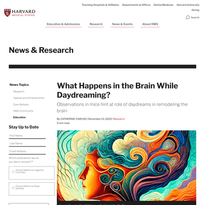 What Happens in the Brain While Daydreaming?
