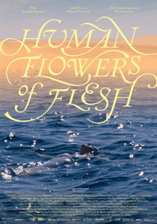 shellac-human-flowers-of-flesh-poster-5739.jpg