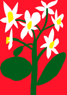 antti_kalevi_pop_red_4_th.jpg