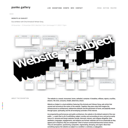 website as subject · panke.gallery
