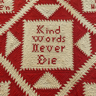 Detail from Maria Cadman Hubbard’s 1848 quilt, probably made in Austerlitz, New York