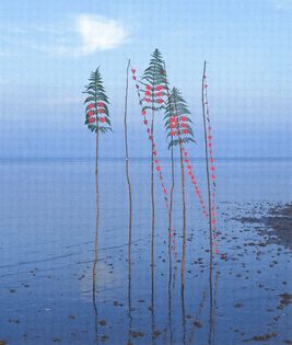 ‘Untitled’ (detail) silver birch poles, stalks of fern and ribwort, pine needles, petals of the dog rose, 1986, Rosa Rugosa Thunberg, North Sea
