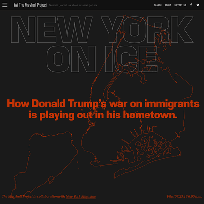 How Donald Trump's War on Immigrants Is Playing Out in NYC