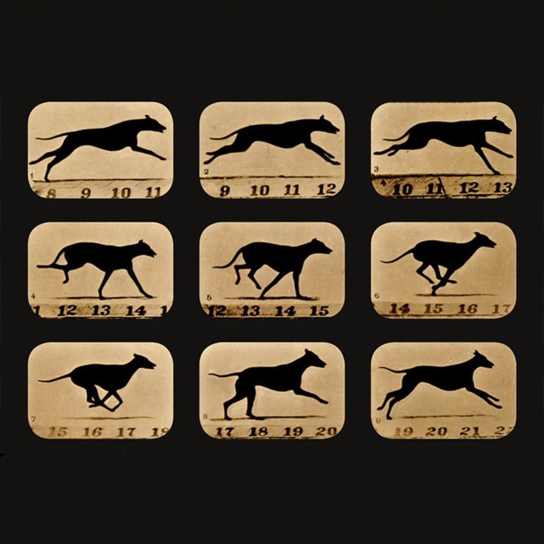 124878347_212986220359029_3995949155158628386_n.jpg