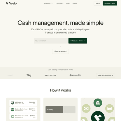 Vesto | Cash Management For Startups