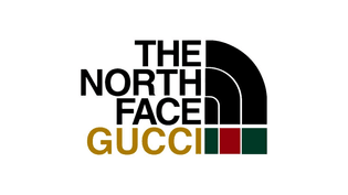 TNF x Gucci
