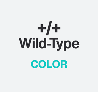 wild-type-color-p-1600.png