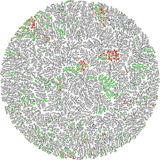 Chemical Space Visualization of MacrolactoneDB