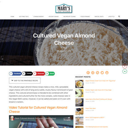 Cultured Vegan Almond Cheese