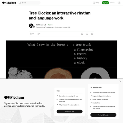 Tree Clocks: an interactive rhythm and language work
