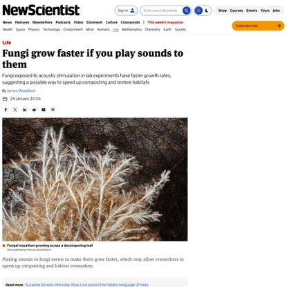Fungi grow faster if you play sounds to them