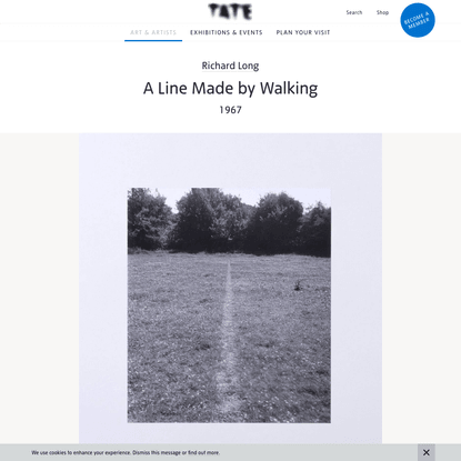 'A Line Made by Walking', Richard Long, 1967 | Tate