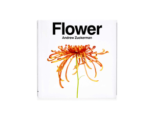 120809az-flower-book-read-through-bf-134.jpg