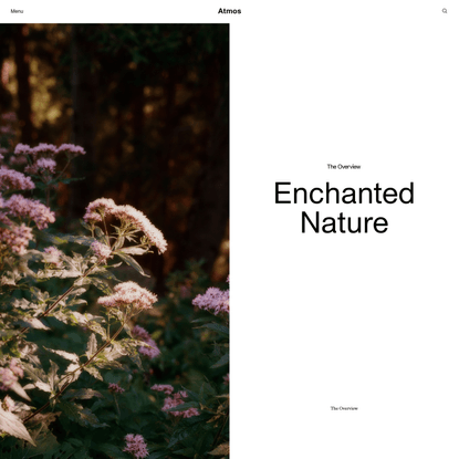 Enchanted Nature | Atmos