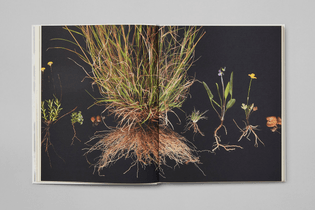 8-repair-branding-print-book-australian-pavilion-at-16th-international-biennale-of-architecture-venice-studio-round-australi...