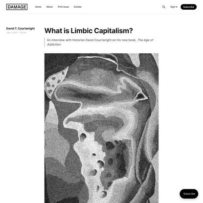 What is Limbic Capitalism?