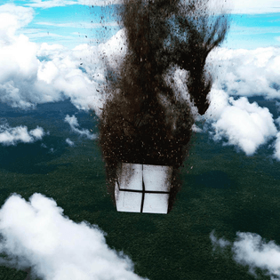100 million native seeds airdropped over the Brazilian Amazon by skydiver Luigi Cani