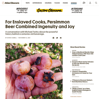 For Enslaved Cooks, Persimmon Beer Combined Ingenuity and Joy