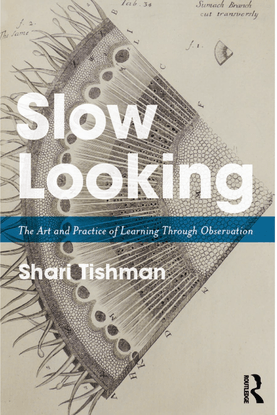 slow-looking_-the-art-and-pract-shari-tishman.pdf