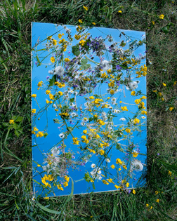 Brea Souders, Mille Fleurs, 2011