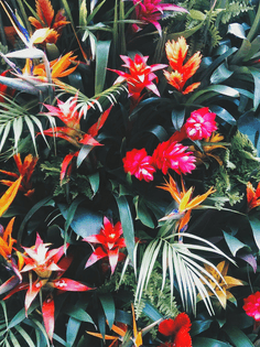 tumblr_nmq1gf3rmv1rti241o1_1280.jpg