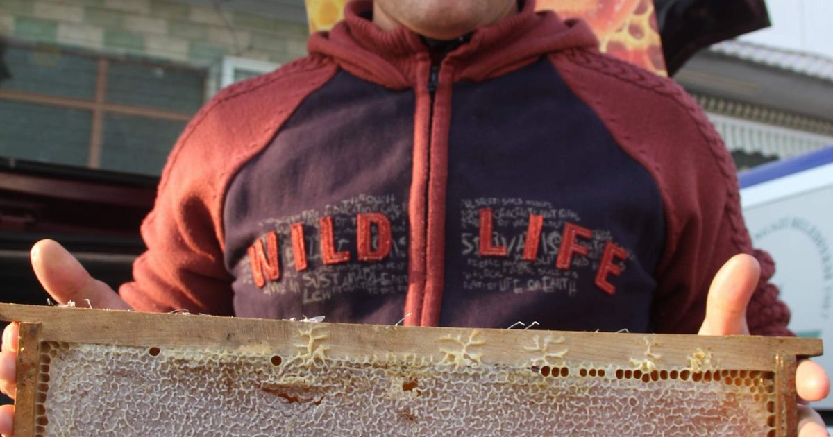 Thumbnail of allah.jpg | Are.na