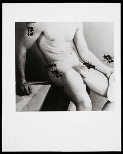 David Wojnarowicz Untitled (Desire) 1988