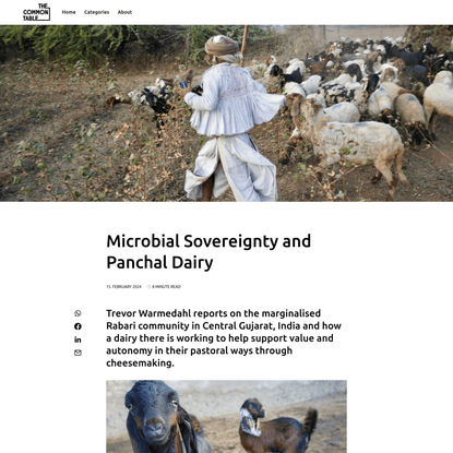 Microbial Sovereignty And Panchal Dairy — The Common Table