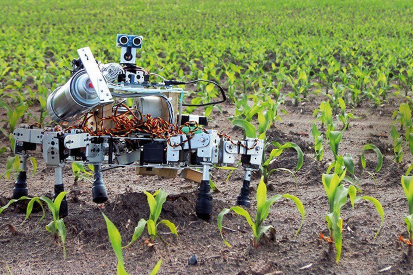 Ии в сельском хозяйстве. Prospero — робот, который умеет сажать семена. Робот паук Prospero. Роботы в сельском хозяйстве. Робототехника в сельском хозяйстве.