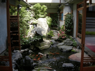 studio-mumbai-openair-indoor-water-garden-complete-with-resident-fish.jpeg