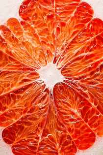 grapefruit_cu_new_3.jpg