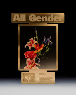 ss_allgender_01.jpg